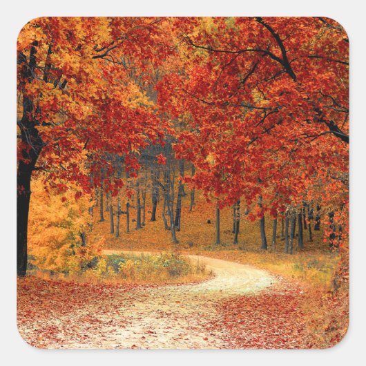 Herbst im Wald Quadratischer Aufkleber (Vorderseite)