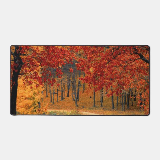 Herbst im Wald Schreibtischunterlage (Vorderseite)