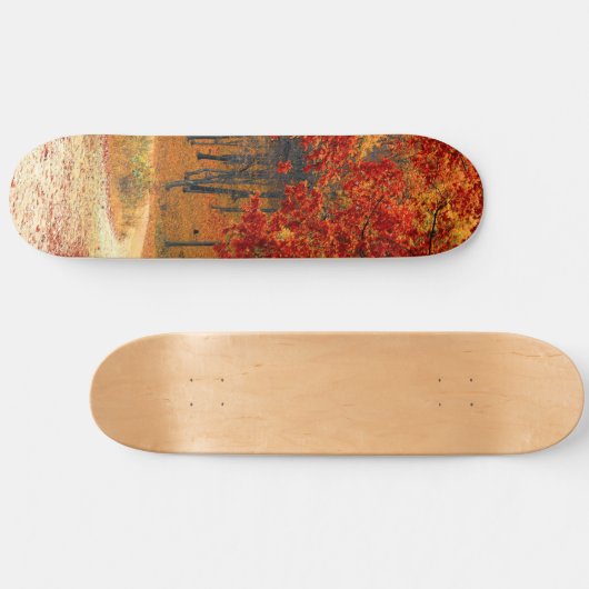 Herbst im Wald Skateboard (Horizontal)