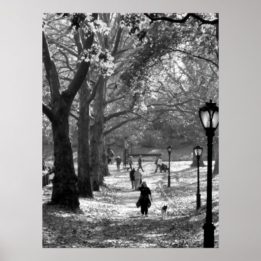 Herbst im Zentralpark 06 25 Poster (Vorne)