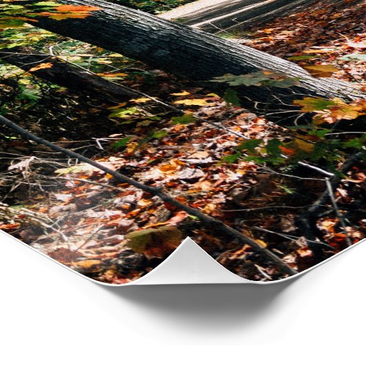 Herbst in Algonquin Park, Kanada Poster (Ecke)