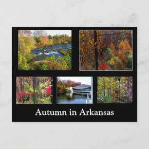 Herbst in Arkansas Fotografie-Postkarte Postkarte