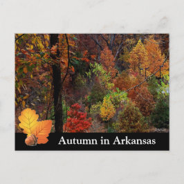 Herbst in Arkansas / Herbstsaison Bäume Fotografie Postkarte