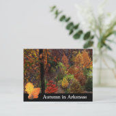 Herbst in Arkansas / Herbstsaison Bäume Fotografie Postkarte (Stehend Vorderseite)