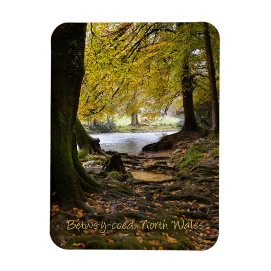 Herbst in Betws-y-coed, Nordwales Magnet (Vertikal)