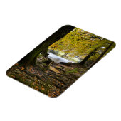 Herbst in Betws-y-coed, Nordwales Magnet (Linke Seite)