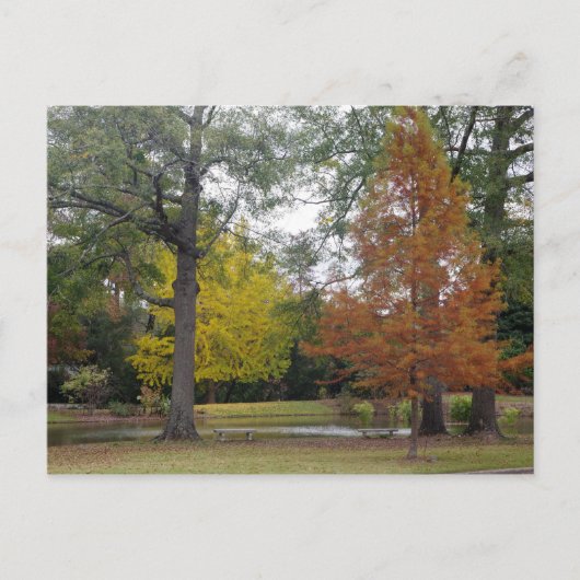 Herbst in Birmingham, Alabama Postkarte (Vorderseite)