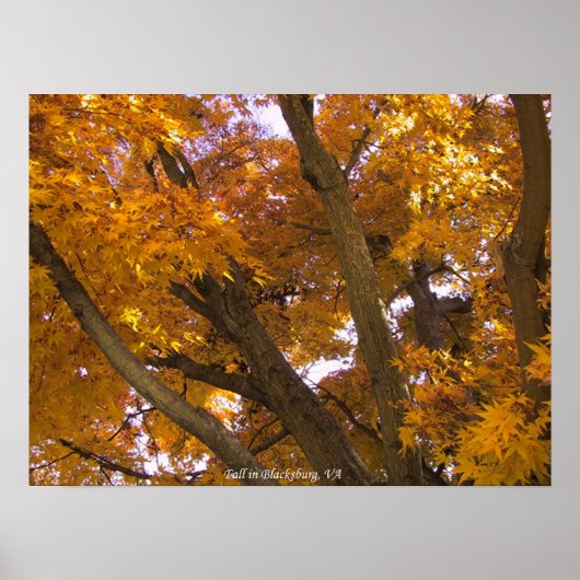 Herbst in Blacksburg, Virginia Poster (Vorne)