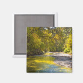Herbst in Busiek Painterly Magnet (Vorderseite/Rückseite)