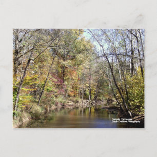 Herbst in Caryville, Tennessee Postkarte