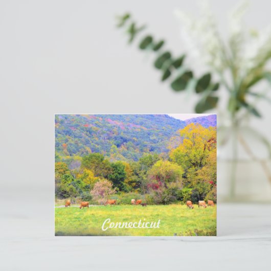 Herbst in CT Postkarte (Stehend Vorderseite)