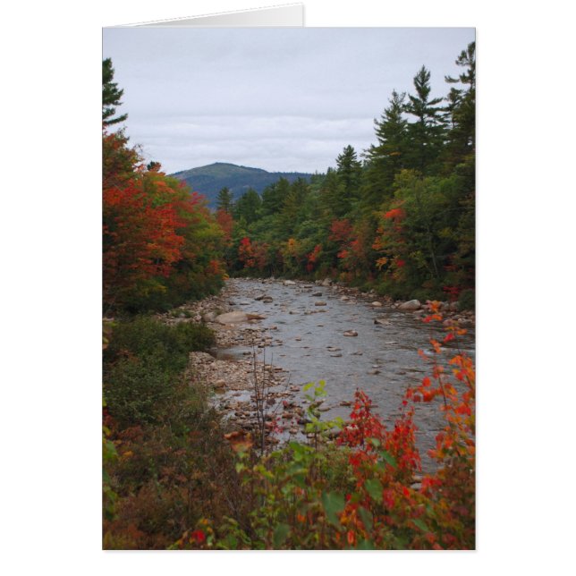 Herbst in dem Fluss (Vorne)
