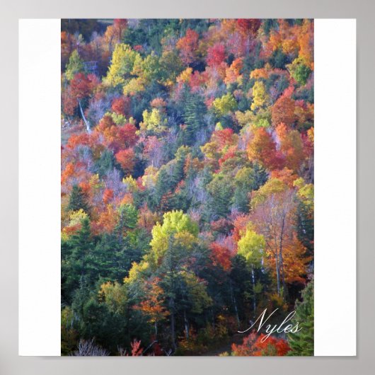 Herbst in den Adirondacks Poster (Vorne)
