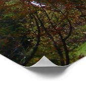 Herbst in den Adirondacks Poster (Ecke)