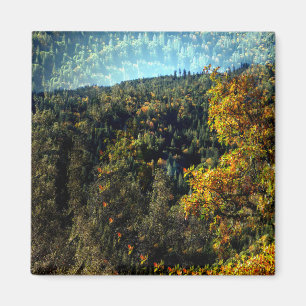 Herbst in den Bergen.... Magnet