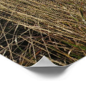 Herbst in den Bergen von Bieszczady Poster (Ecke)