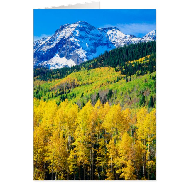 Herbst in den Rockies (Vorne)