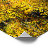 Herbst in den Rockies Poster (Ecke)
