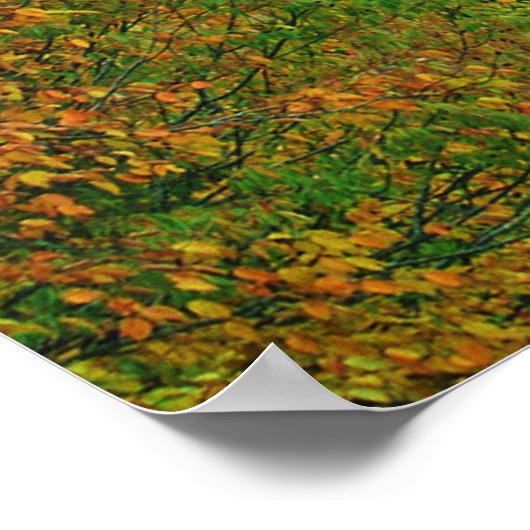 Herbst in den Smokies Poster (Ecke)