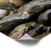 Herbst in den Smokies Poster (Ecke)