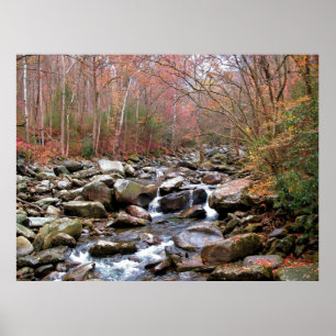 Herbst in den Smokies Poster