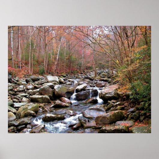 Herbst in den Smokies Poster (Vorne)