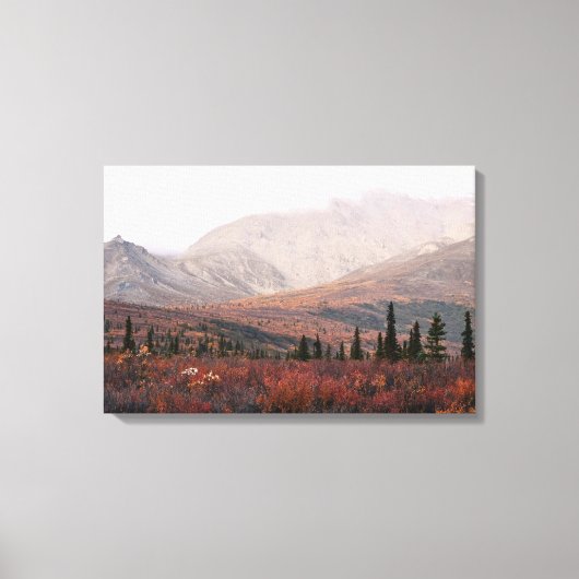 Herbst in Denali Leinwanddruck (Vorderseite)