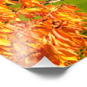 Herbst in der Dolomiten-Landschaft mit Kirche Fotodruck (Ecke)