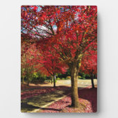 Herbst in der Nachbarschaft, Oregon Fotoplatte (Vorderseite)