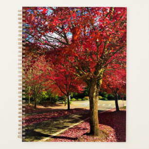 Herbst in der Nachbarschaft, Oregon Planer