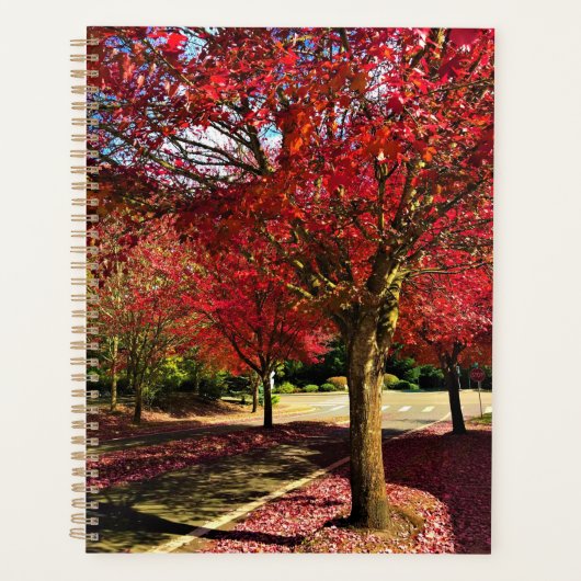 Herbst in der Nachbarschaft, Oregon Planer (Vorderseite)