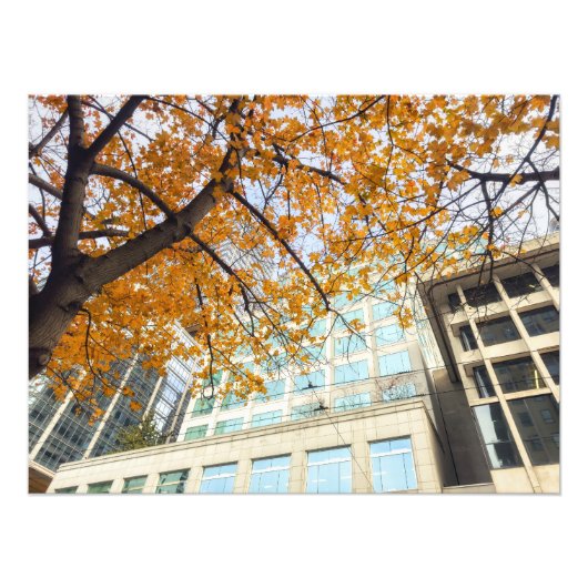 Herbst in der Stadt Fotodruck (Vorne)