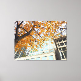 Herbst in der Stadt Leinwanddruck