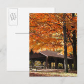Herbst in einem Park Postkarte (Vorne/Hinten)