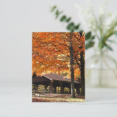 Herbst in einem Park Postkarte (Stehend Vorderseite)