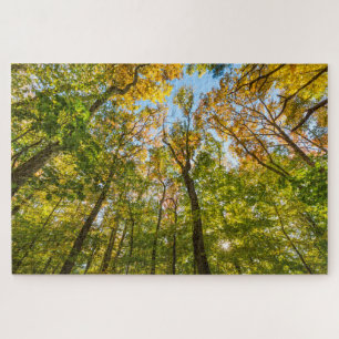 Herbst in einem Wald in Amesbury, Massachusetts Puzzle