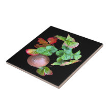 Herbst in Erdbeeren Jahreszeit Garten Foto