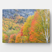 Herbst in Grafton Notch Staat Park, Maine Fotoplatte (Vorderseite)