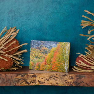 Herbst in Grafton Notch Staat Park, Maine Fotoplatte