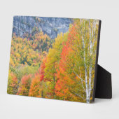 Herbst in Grafton Notch Staat Park, Maine Fotoplatte (Seite)