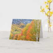 Herbst in Grafton Notch Staat Park, Maine Karte (Gelbe Blume)