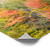 Herbst in Grafton Notch Staat Park, Maine Poster (Ecke)