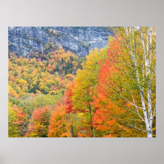 Herbst in Grafton Notch Staat Park, Maine Poster (Vorne)