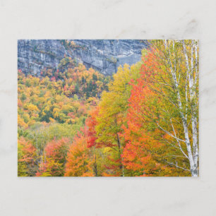 Herbst in Grafton Notch Staat Park, Maine Postkarte