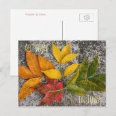 Herbst in Iowa Postkarte (Vorne/Hinten)