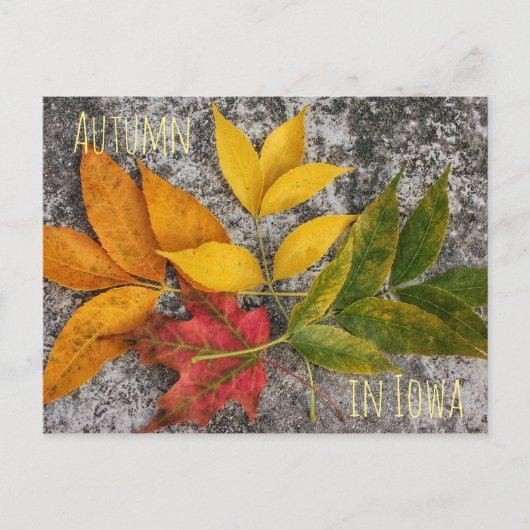 Herbst in Iowa Postkarte (Vorderseite)