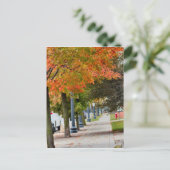 Herbst in Iowa Postkarte (Stehend Vorderseite)