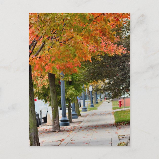 Herbst in Iowa Postkarte (Vorderseite)
