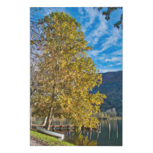 Herbst in Italien mit Baum und Schiff am See