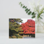 Herbst in Japan Postkarte (Stehend Vorderseite)